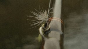 Fly hooked on fly rod hook holder