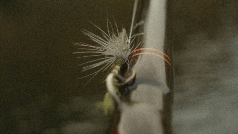 Fly hooked on fly rod hook holder