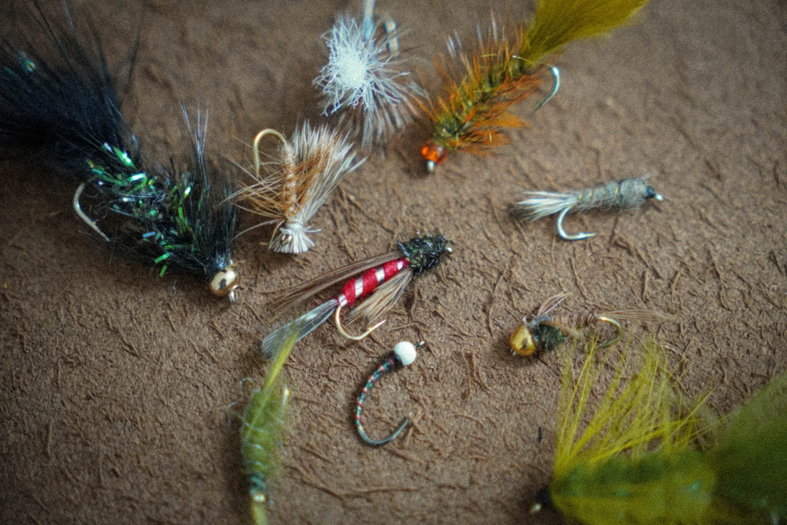 The 10 Best Flies for BC Trout Fishing (2026 list)